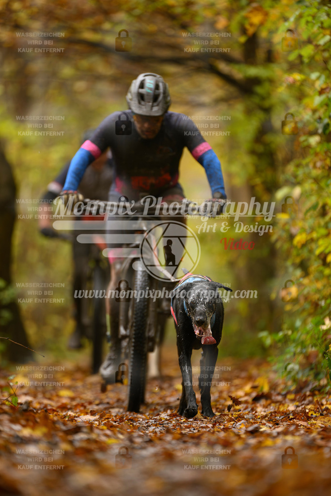 MompixPhotography_CD7S_DI_Bike-36 | mompixphotography