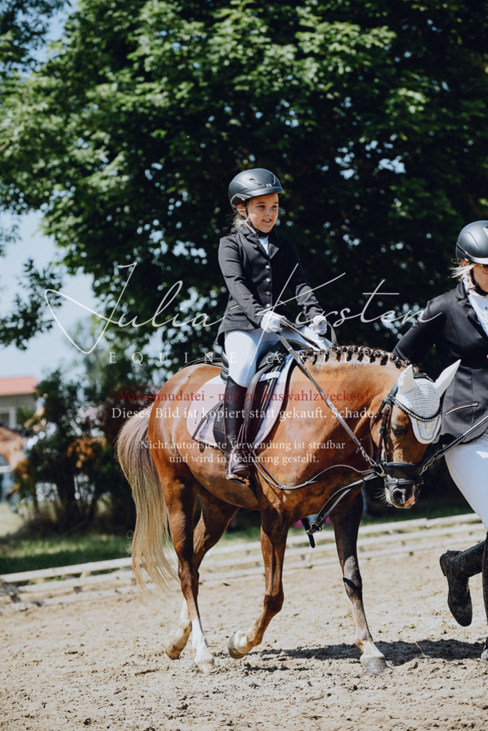 DSC_2549 | Pferde- und Turnierfotografie in Westsachsen. Pferdeportraits, Auftragszeichnungen und intuitive Kunst.