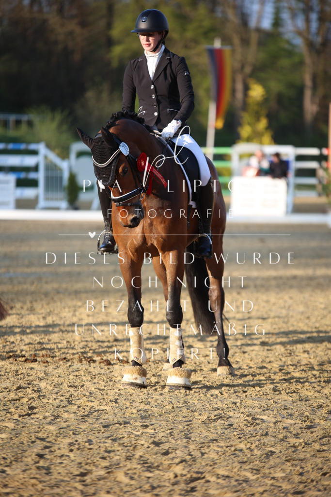 IMGT9313 | pl-fotografie