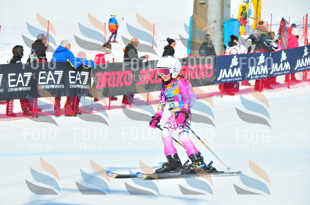 DSC_0617 | holidayphoto