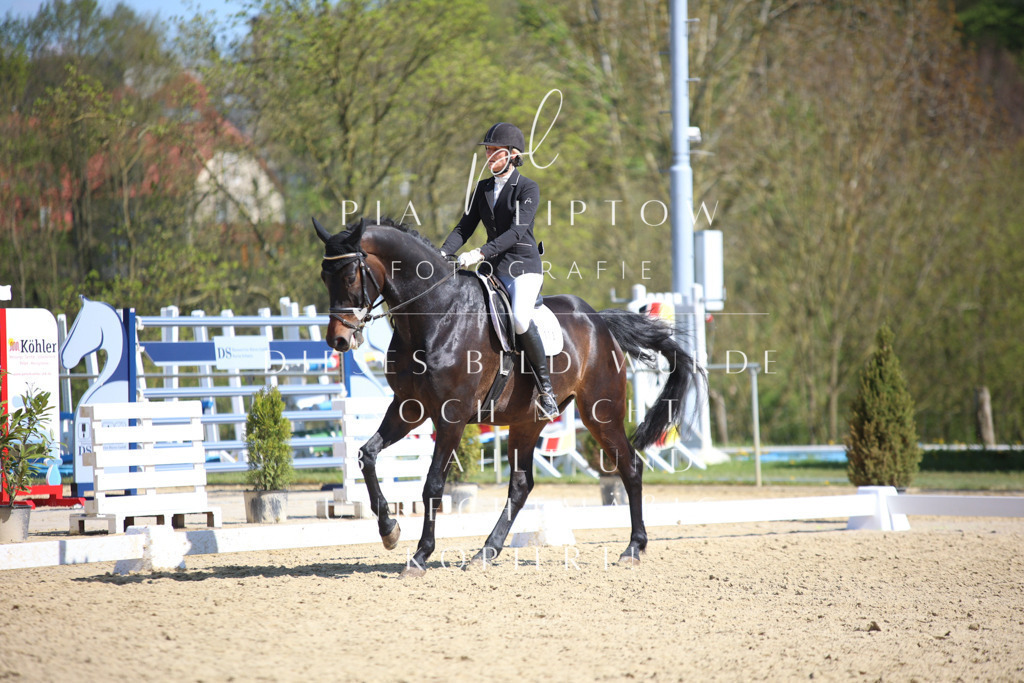 IMGT8134 | pl-fotografie