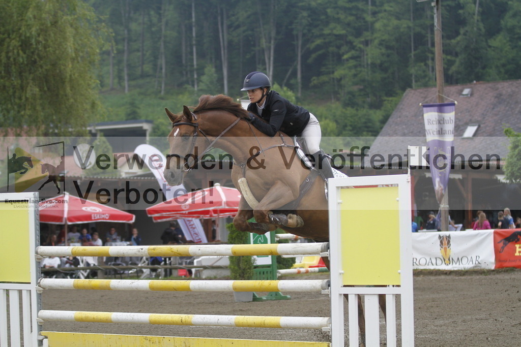 _MG_6624 | equestrian-live-com