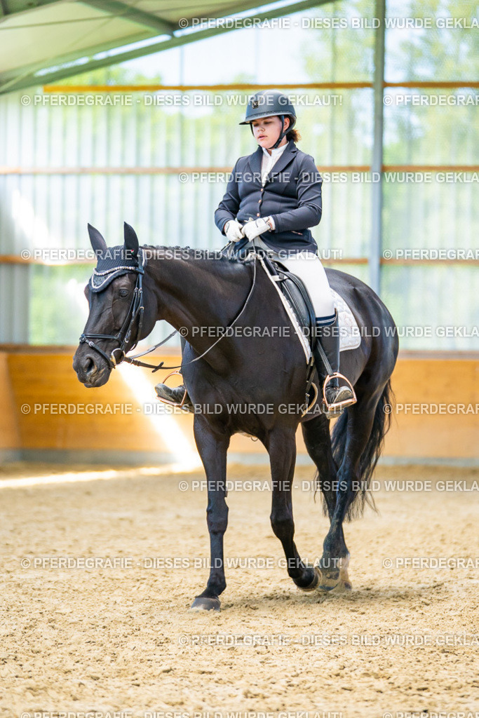 DSC08098 | Pferdegrafie