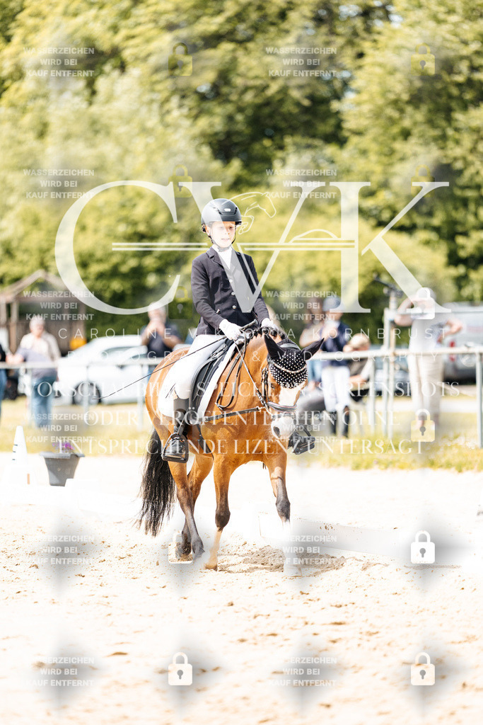 CK902426 | Turnierfotografie Pferdefotografie Trier Rheinland-Pfalz Pferdesport Reitsport Tierfotografie Sportfotografie Pferdevideo Pferdevideografie Equestrianvideography equestrianphotography  - Realisiert mit Pictrs.com