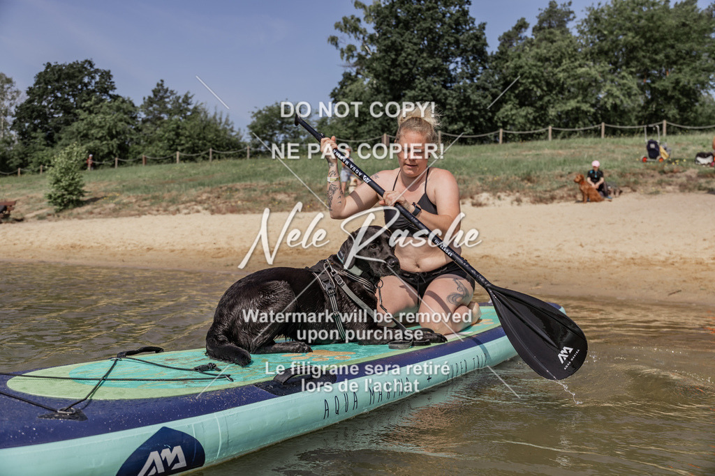 BUHU_SUP_417 | nelerasche