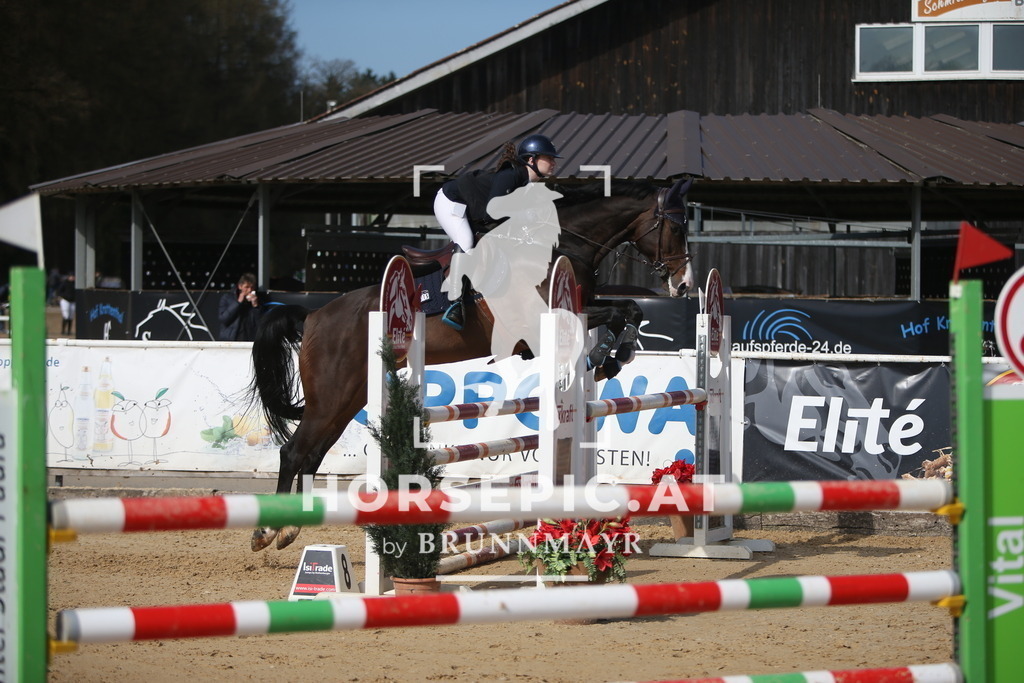 AS8V5820 | Willkommen bei Brunnmayr - Design & Fotografie – Ihrem Spezialisten für Reitturniere und Pferdeveranstaltungen in Oberösterreich, Salzburg und Bayern! Seit über 17 Jahren sind wir leidenschaftlich dabei.