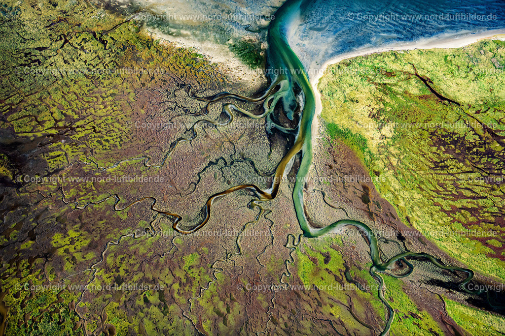 Memmert_Seegraswiesen_ELS_3864231021 | NORDSEEINSEL MEMMERT 23.10.2021 Kurvenförmige Schleifen mehrerer Fluss- Verläufe auf der grünen naturgeschützten Nordsee- Insel Memmert bei Juist mit Wattenmeer und vorgelagerter Sandbank Kachelotplate im Bundesland Niedersachsen. Weiterführende Informationen bei: Niedersächsischer Landesbetrieb für Wasserwirtschaft, Küsten- und Naturschutz. // Curved loops of several converging rivers flowing into the Wadden Sea on the green environmentally protected North Sea island Memmert in Juist and the sandbank Kachelotplate in the state Lower Saxony. Further information at: Niedersaechsischer Landesbetrieb fuer Wasserwirtschaft, Kuesten- und Naturschutz. Foto: Martin Elsen