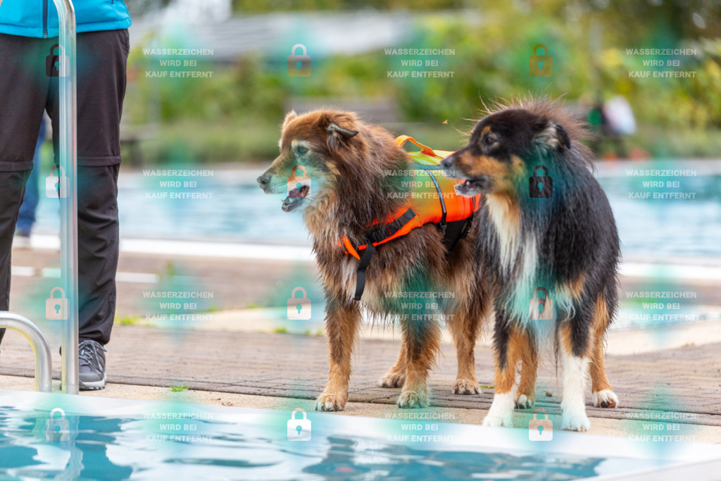 _HP_6056_1000o | HetPix, HetPix Fotodesign, Fotografie, Fotodesign, Webshop, Sportfotografie, Portraitfotografie, Onlineshop, Sportfotografie, Polch, Motorsportfotografie, Eventfotografie