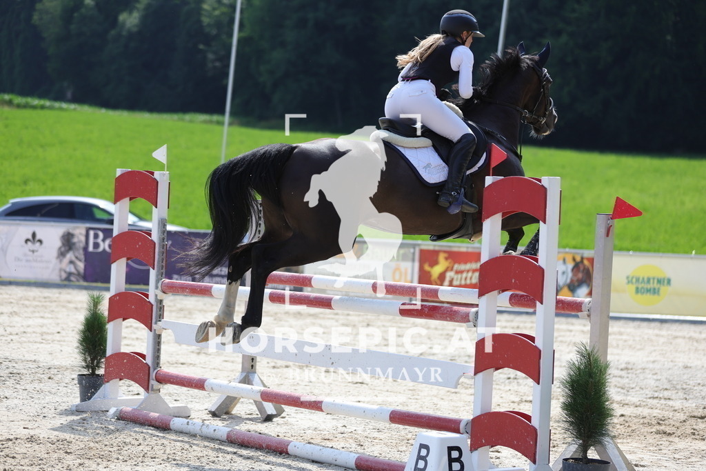 0P6A0597 | Willkommen bei Brunnmayr - Design & Fotografie – Ihrem Spezialisten für Reitturniere und Pferdeveranstaltungen in Oberösterreich, Salzburg und Bayern! Seit über 17 Jahren sind wir leidenschaftlich dabei.