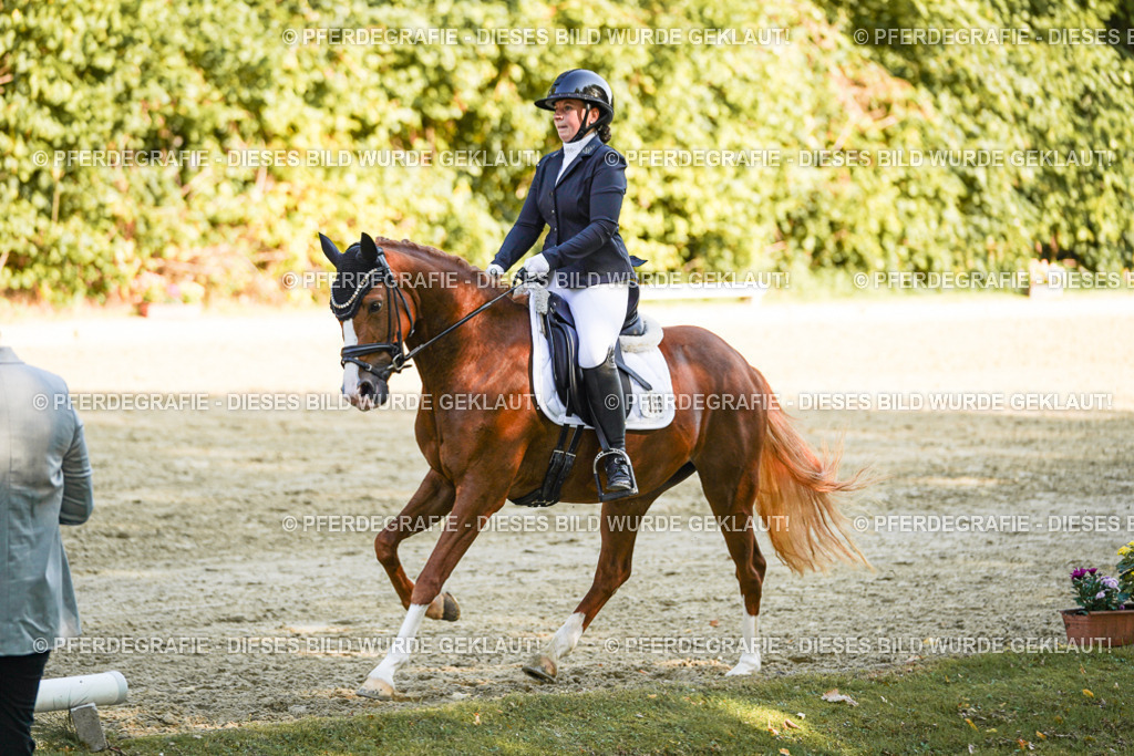 DSC06302 | Pferdegrafie