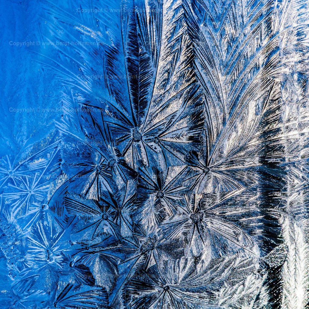 P-IceArt_7883mod11_120x120 | Eisblumen an einem Dachfenster, rechtsseitig von der Wintersonne beschienen. - Realisiert mit Pictrs.com