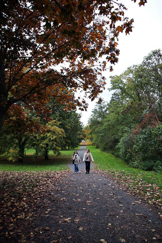 Foto: Leipzig - Etzoldsche Sandgrube - Park und Gedenkort | Das Team hinter BILDLEXIKON LEIPZIG bündelt historische wie aktuelle Informationen über die Stadt Leipzig in Text und Bild auf einer Plattform und stellt diese der interessierten Öffentlichkeit zur Verfügung.