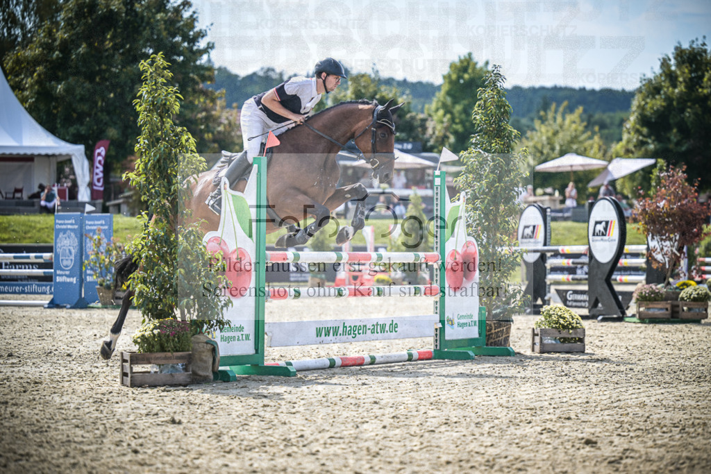DOS_7680 | Entdecke hochwertige Reitturnierfotos von Foto Oger. Professionell, emotional und authentisch – jetzt Lieblingsmomente im Shop bestellen.Deutschlandweite Turnierfotografie. - Realisiert mit Pictrs.com