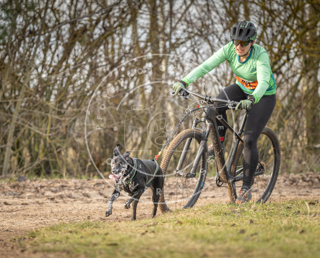 Pfotenfotografie_DV3A7657 | Hundefotografie, Tierfotograf, Pfotenfotografie, Fotoshooting Hund, Hunde Portrait, Hundesport, Hundeportraits, Heideshooting, Hunde, Sportfotograf, Hundefotograf, Turnierhundsport, THS,  - Realisiert mit Pictrs.com