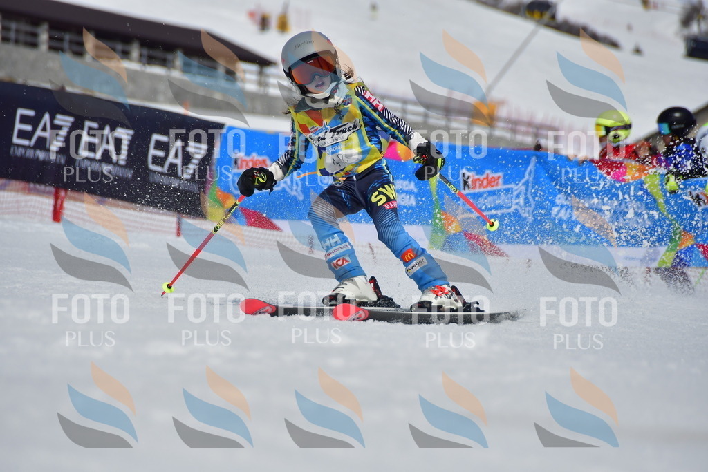 _DSC6952 | holidayphoto