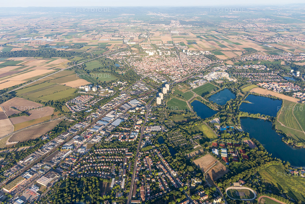 Luftbild: Sternstr im Ortsteil Friesenheim in Ludwigshafen im Bundesland Rheinland-Pfalz in Deutschland. Foto: IMG_109557.jpg vom 31.07.2018 durch Werner Riehm/FLY-FOTO.de