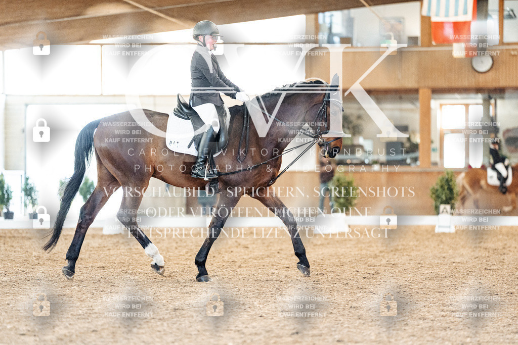 CK907267 | Turnierfotografie Pferdefotografie Trier Rheinland-Pfalz Pferdesport Reitsport Tierfotografie Sportfotografie Pferdevideo Pferdevideografie Equestrianvideography equestrianphotography  - Realisiert mit Pictrs.com