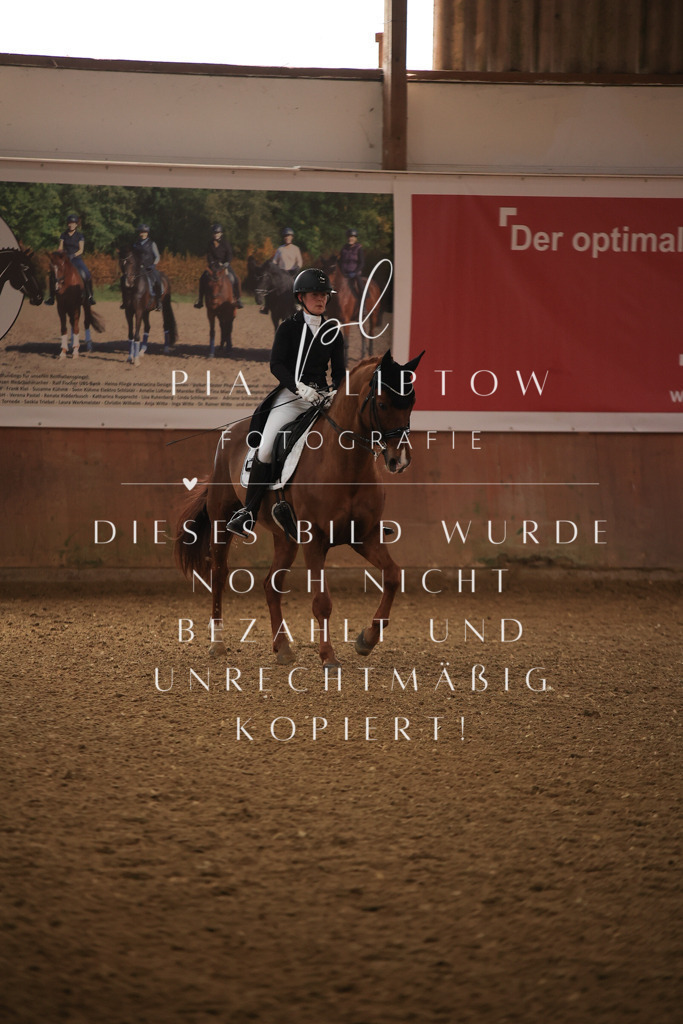 IMGT4726 | pl-fotografie