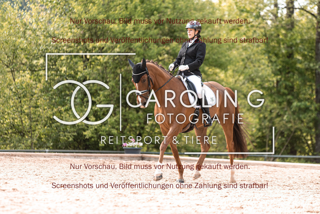 DSC_9170 | Turnierfotografin Carolin Gieschke, Turnierfotografie Carolin G Fotografie, Turnierfotos Kirchheim/Teck, Esslingen, Stuttgart, Bodenseekreis