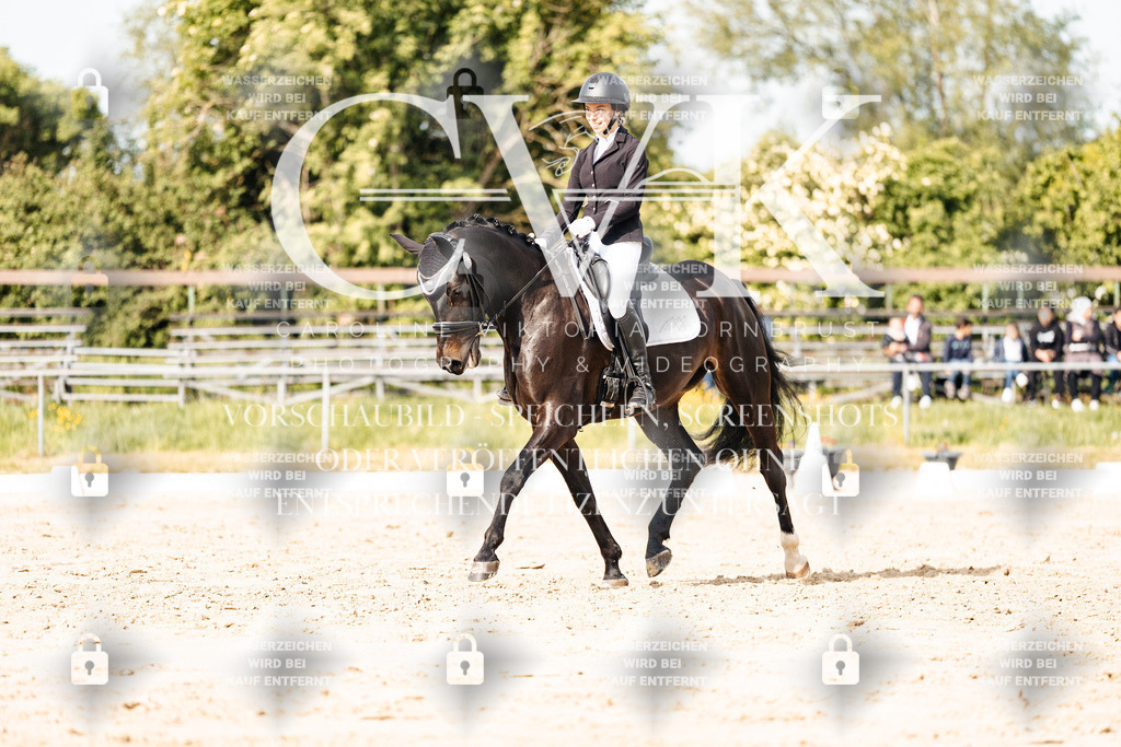 CK900334 | Turnierfotografie Pferdefotografie Trier Rheinland-Pfalz Pferdesport Reitsport Tierfotografie Sportfotografie Pferdevideo Pferdevideografie Equestrianvideography equestrianphotography  - Realisiert mit Pictrs.com