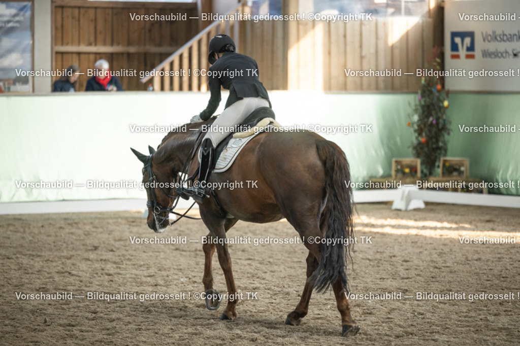 _D5A3147 | Emotionale Pferde- & People-Fotografie rund um Heidelberg, Leimen & Umgebung. Natürliche Fotos von Pferd, Mensch & Familie. Jetzt Termin sichern!