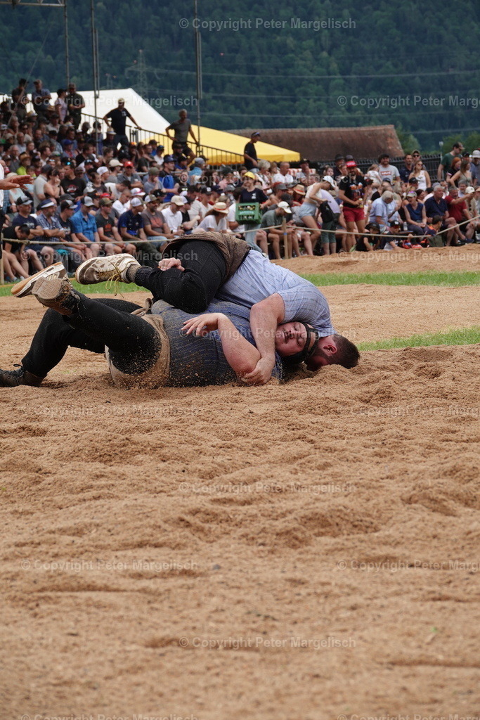 DSC01258 | Schwingen - Realisiert mit Pictrs.com