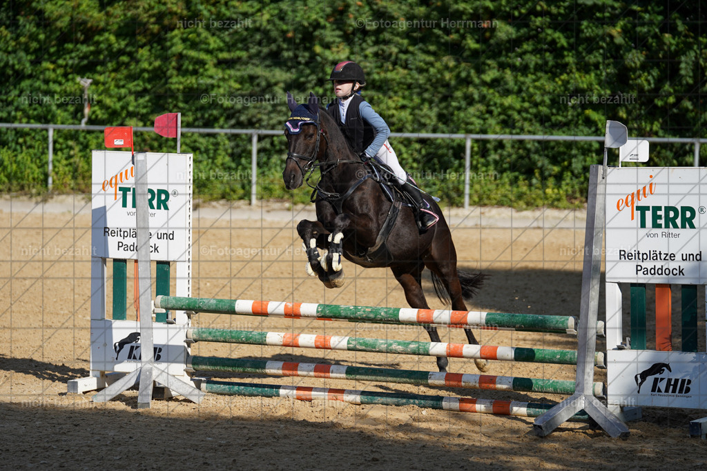 20240824-FAH07255 | Thierhaupten 2024, Bayerisches Landesponyturnier, Turnierbilder, Ponybilder, Turnierfotografen Bayern, Fotoagentur Herrmann