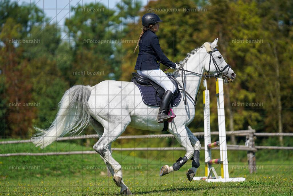 20230917-FAH09415 | Landsberg am Lech, 2023, Kaufbeuren, Kempten, Allgäu, Turnierfotografen Bayern, Fotoagentur Herrmann, Turnierbilder, Reitsport Fotos, Pferdefotograf, Augsburg, Bad Tölz, Dachau, Karlsfeld, Memmingen, Buchloe, Schwabmünchen