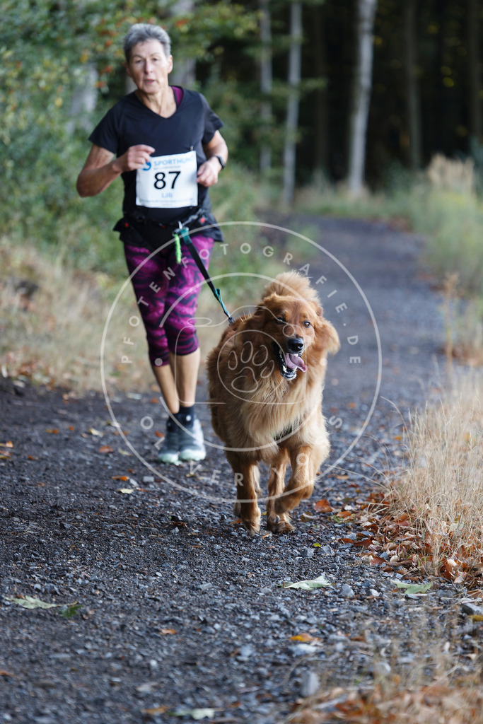 0L8A2137 | Hundefotografie, Tierfotograf, Pfotenfotografie, Fotoshooting Hund, Hunde Portrait, Hundesport, Hundeportraits, Heideshooting, Hunde, Sportfotograf, Hundefotograf, Turnierhundsport, THS,  - Realisiert mit Pictrs.com