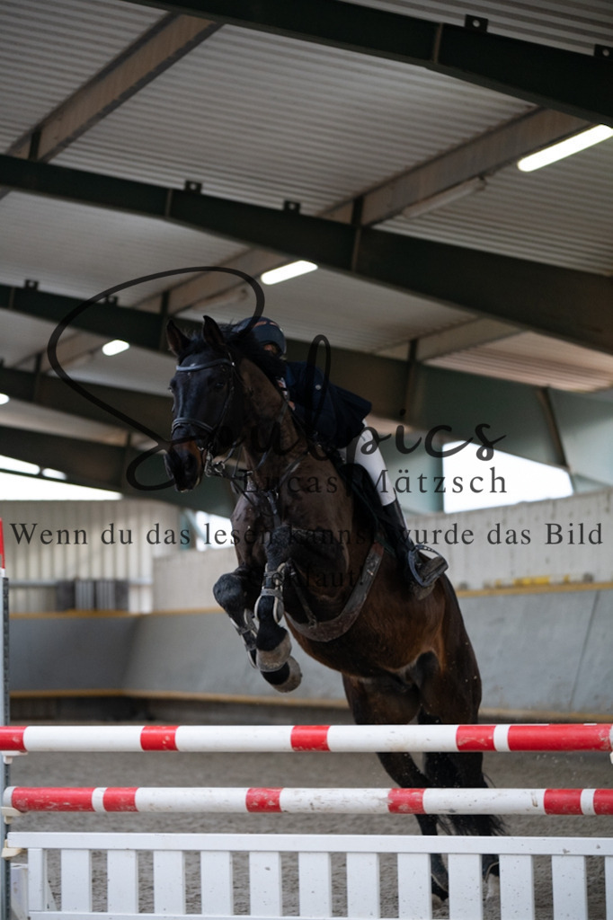 A7V04414 | Pferdefotograf