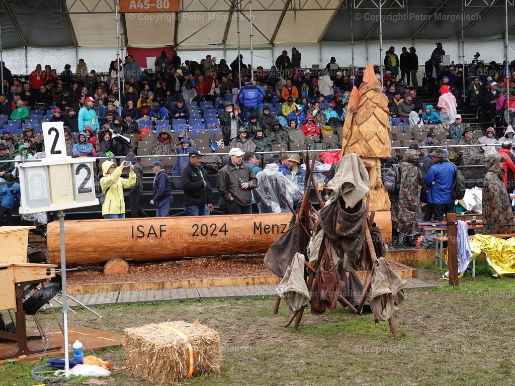 DSC07978 | Schwingen - Realisiert mit Pictrs.com