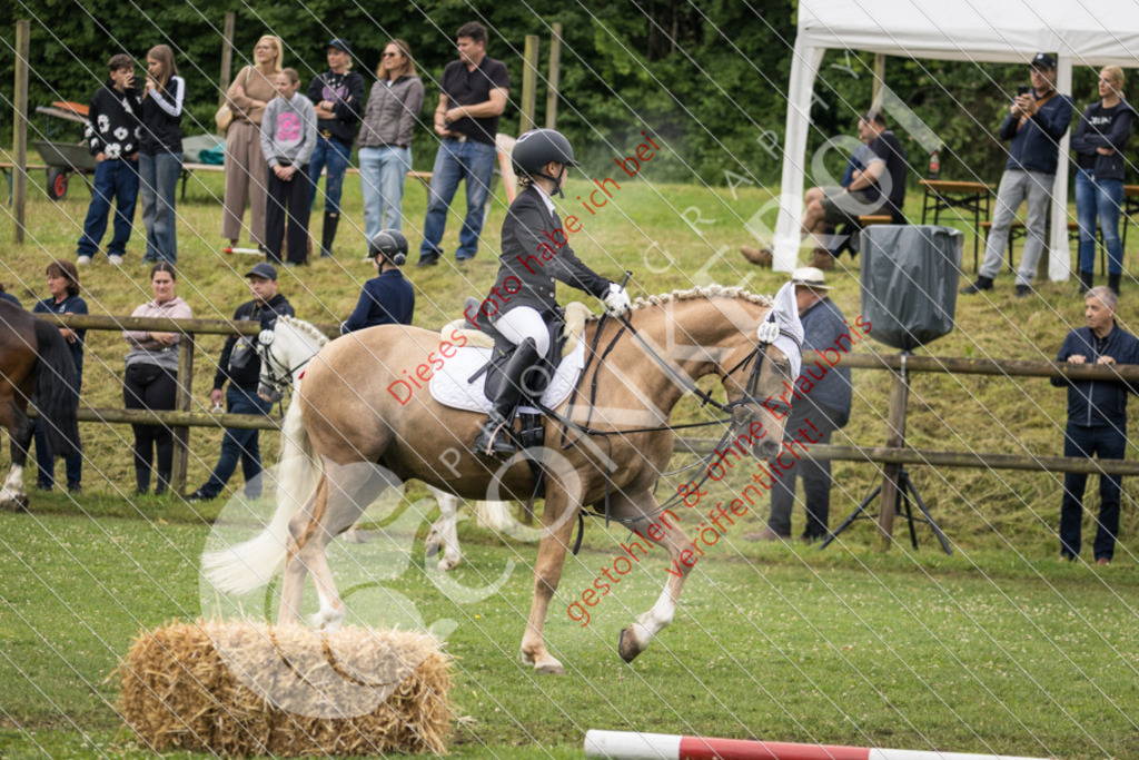 IMG_1831 | Sport-, Event- und Tierfotos in Profiqualität. Einfach auswählen, bestellen und herunterladen. Dein Moment – perfekt festgehalten.