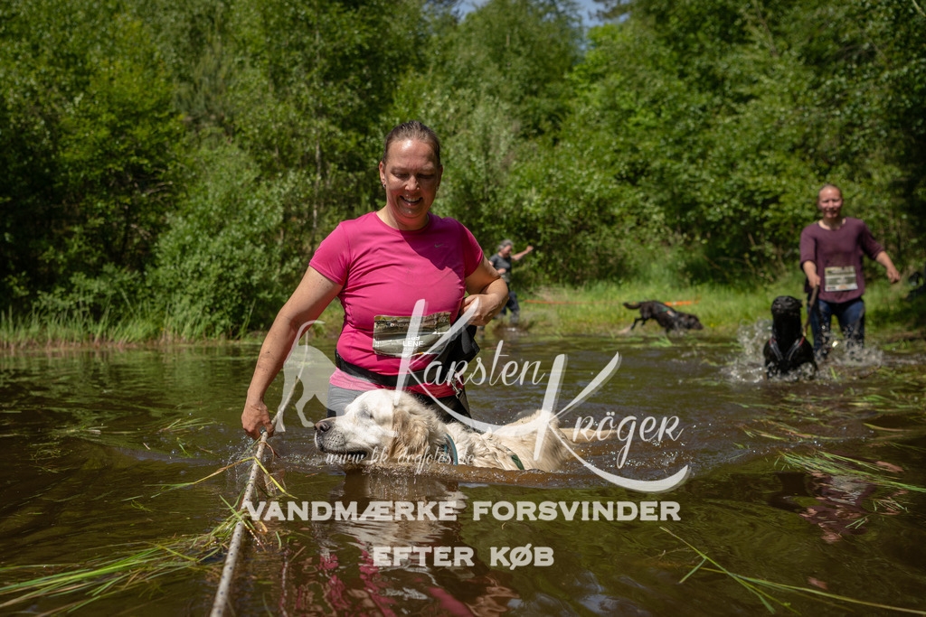 1257DKK993781 | kk-dogfotos