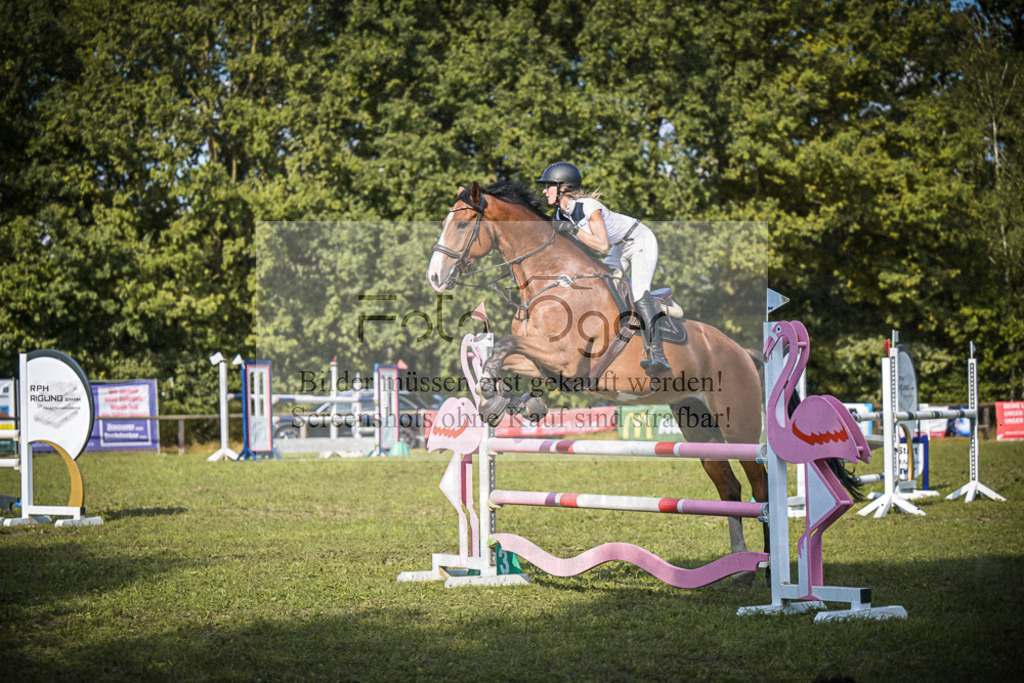 DOS_1296 | Entdecke hochwertige Reitturnierfotos von Foto Oger. Professionell, emotional und authentisch – jetzt Lieblingsmomente im Shop bestellen.Deutschlandweite Turnierfotografie. - Realisiert mit Pictrs.com
