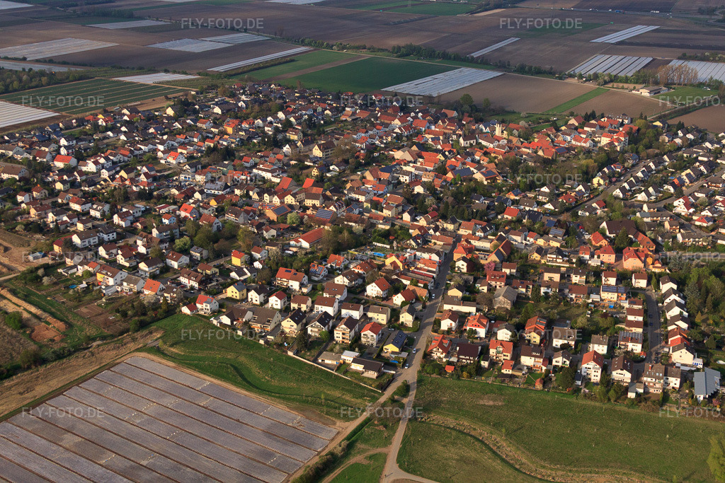 Luftbild: Ortsansicht von Westen im Ortsteil Schauernheim in Dannstadt-Schauernheim im Bundesland Rheinland-Pfalz in Deutschland. Foto: IMG_49880.jpg vom 13.04.2012 durch Werner Riehm/FLY-FOTO.deAuflösung des Originals: 4752 x 3168 px
