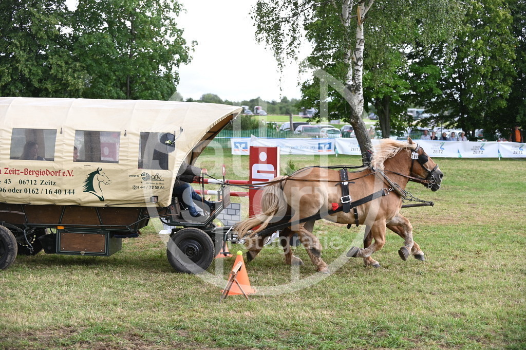 DSC_8727 | sattelsport - Realisiert mit Pictrs.com
