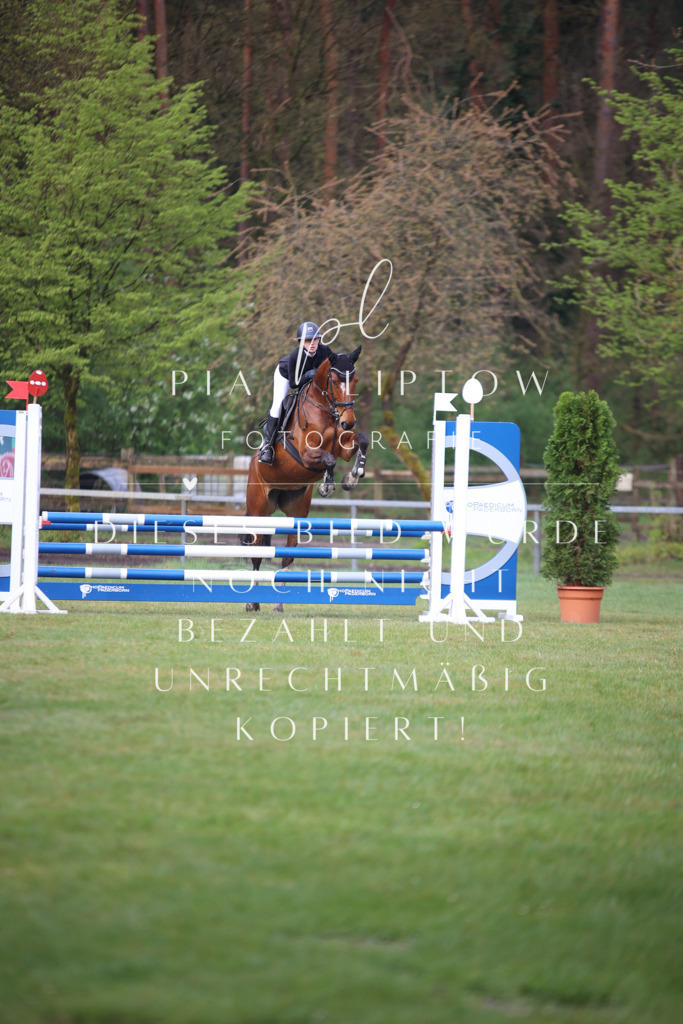 IMGT2376 | pl-fotografie