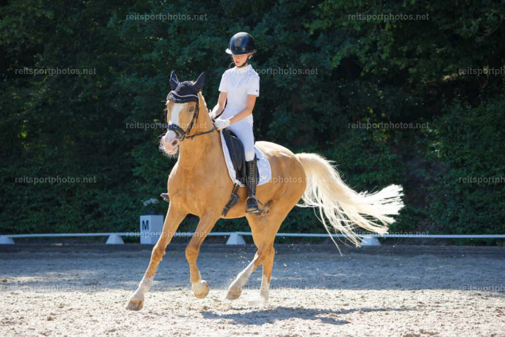 JHE_8083 | JoYa Fotografie - Realisiert mit Pictrs.com