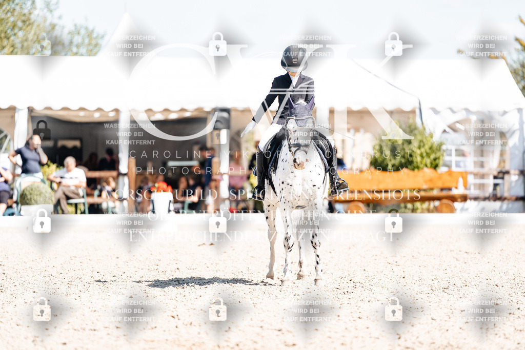 CK904190 | Turnierfotografie Pferdefotografie Trier Rheinland-Pfalz Pferdesport Reitsport Tierfotografie Sportfotografie Pferdevideo Pferdevideografie Equestrianvideography equestrianphotography  - Realisiert mit Pictrs.com