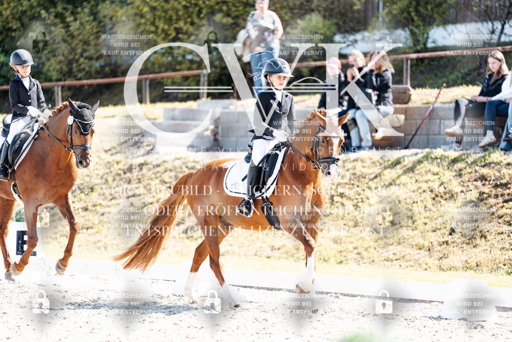 CK903105 | Turnierfotografie Pferdefotografie Trier Rheinland-Pfalz Pferdesport Reitsport Tierfotografie Sportfotografie Pferdevideo Pferdevideografie Equestrianvideography equestrianphotography  - Realisiert mit Pictrs.com
