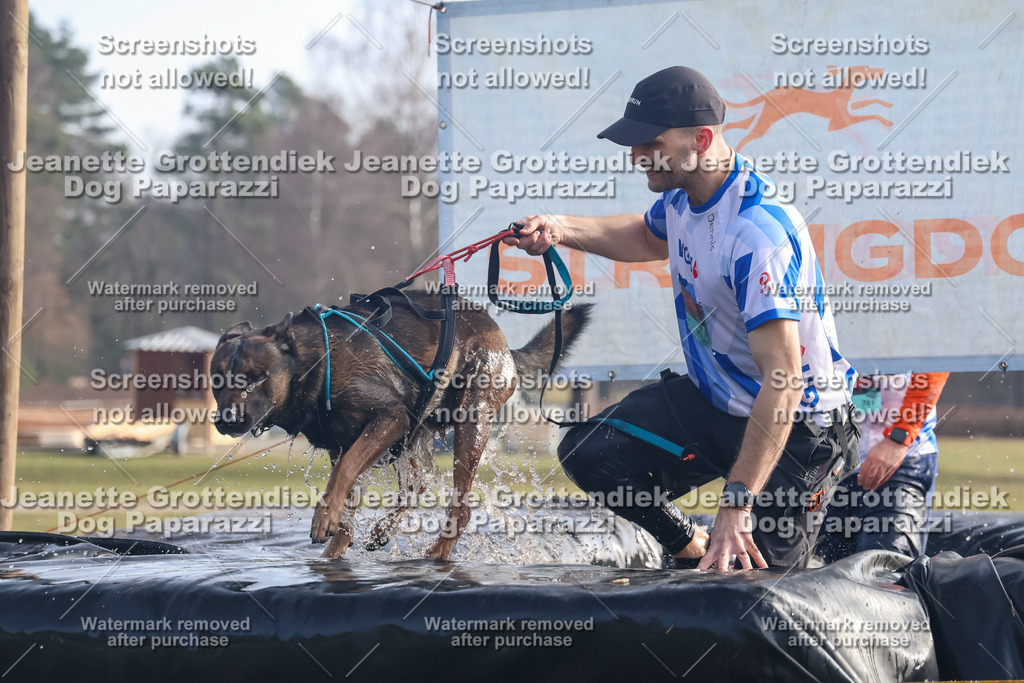 Dog Paparazzi - Strongdog North Mrz26-395 | Dog Paparazzi Jeanette Grottendiek Fotografie & Videografie - Realisiert mit Pictrs.com