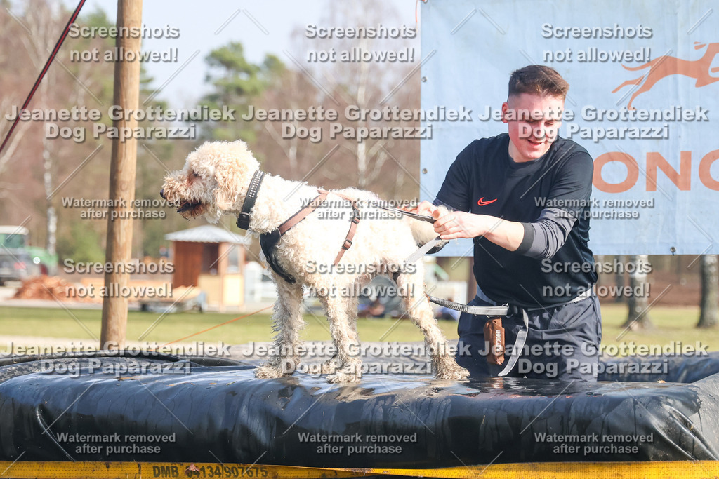 Dog Paparazzi - Strongdog North Mrz26-2197 | Dog Paparazzi Jeanette Grottendiek Fotografie & Videografie - Realisiert mit Pictrs.com
