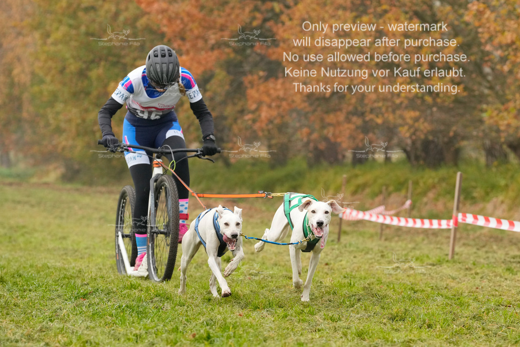 Visbeck_Sa_DS2DR2-19 | stephaniefillaphotographie - Realisiert mit Pictrs.com