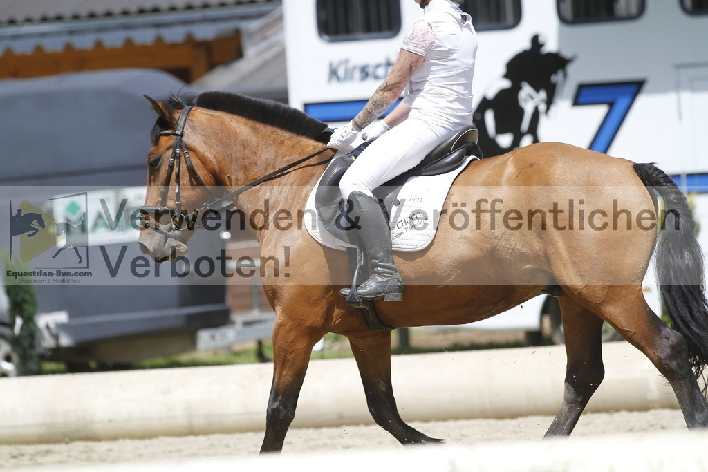 _MG_0982 | equestrian-live-com