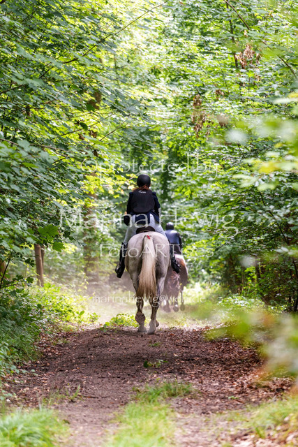 Jagd Knoop 26_MarinaHewigMCH02473 | Fotografie, FotoArt, PferdesportArt, Pferdesportfotografie, Landschaftsfotografie, Reisefotografie, Reise, Pferde - Realisiert mit Pictrs.com
