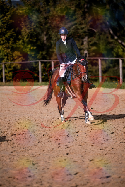 2026_10_03_Siefer-Hof_155405_Z81_74141480 | Professionelle Reitsport-, Turnier- und Eventfotografie von Robert Broda. Galerien mit ausgewählten und bearbeiteten Bildern direkt online ansehen und bestellen.