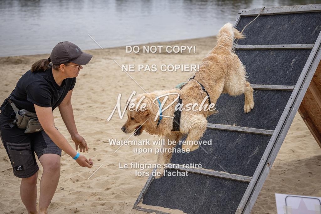 nelerasche_BuHu2026_So10-11_225 | nelerasche