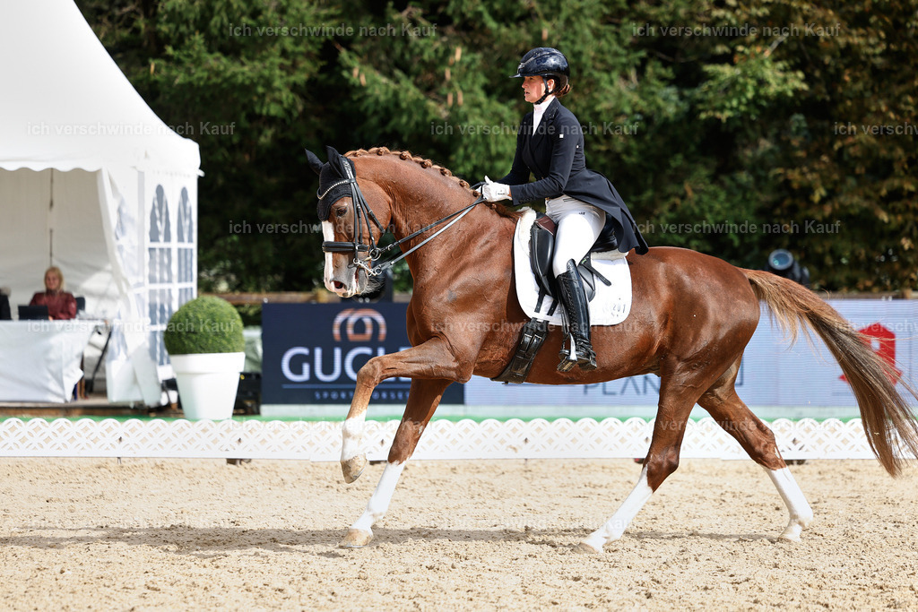 07-201-DRESSUR  S___  -StoibPH-5080 | working equitationturnier fotograf videograf stoibphotography marixx film working equitation deutschland reitsport turnierfotografie eventfotografie equestrian events