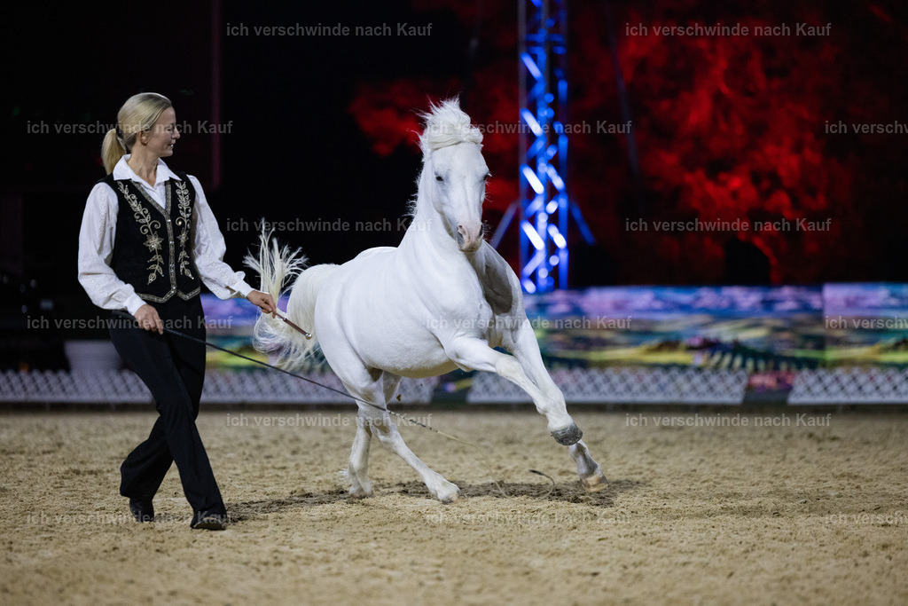 FHClassics-264 | working equitationturnier fotograf videograf stoibphotography marixx film working equitation deutschland reitsport turnierfotografie eventfotografie equestrian events