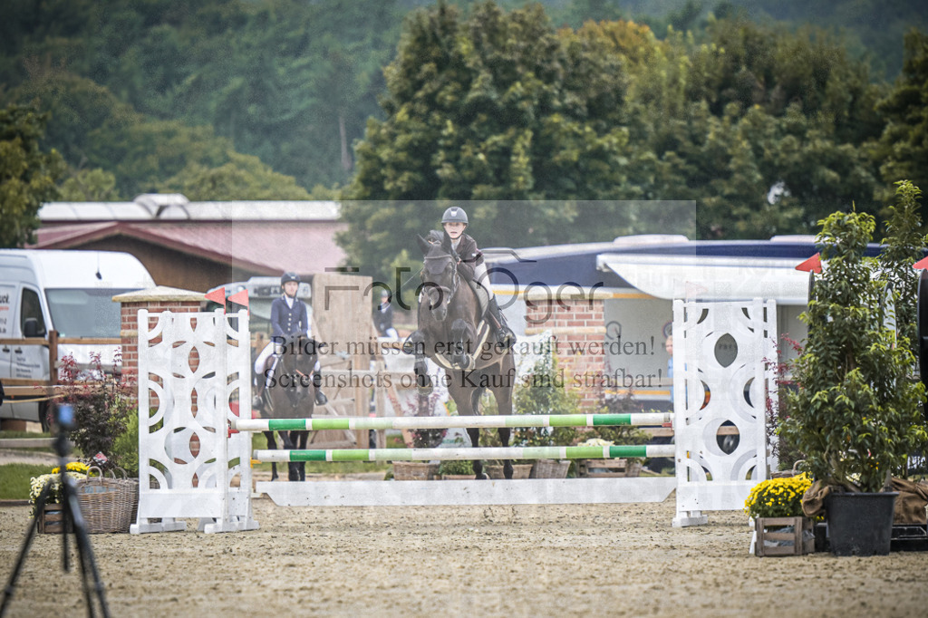 DOS_0376 | Entdecke hochwertige Reitturnierfotos von Foto Oger. Professionell, emotional und authentisch – jetzt Lieblingsmomente im Shop bestellen.Deutschlandweite Turnierfotografie. - Realisiert mit Pictrs.com
